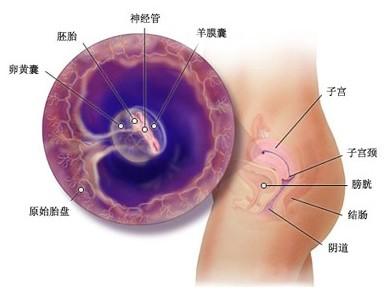 深圳女性如何使用验孕棒比较有效好